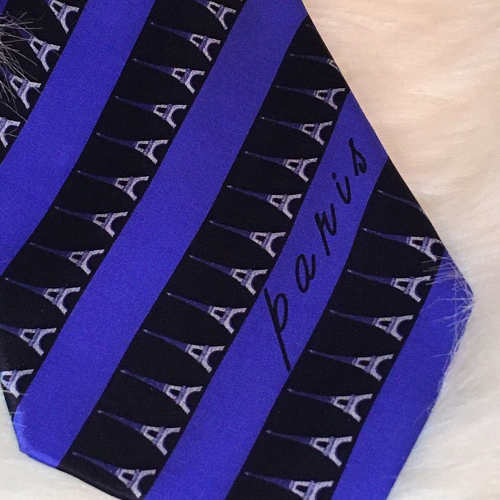 Paris tie Eiffel tower Robin Ruth - Picture 3 of 5